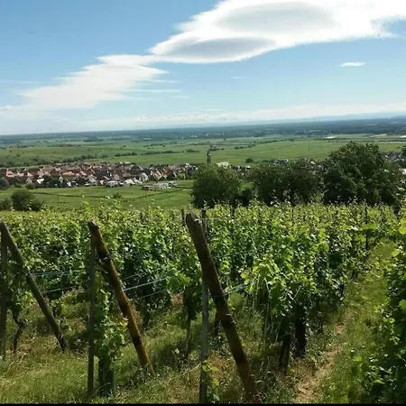 Appartamento Au Petit Bretzel Bennwihr